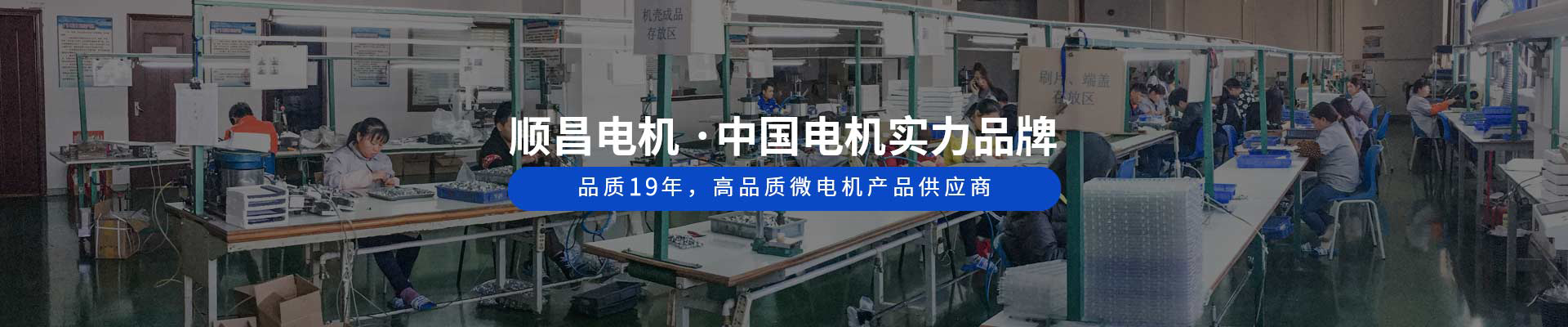 LUTUBE官方最新免费破解版电机 ·中国电机实力品牌 品质19年，高品质微电机产品供应商